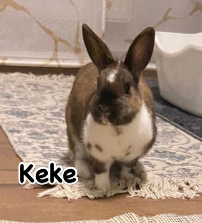 Keke